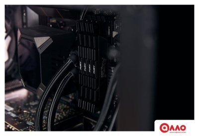 Оперативная память Kingston FURY Renegade 2x8ГБ DDR4 3600МГц KF436C16RB2K2/16