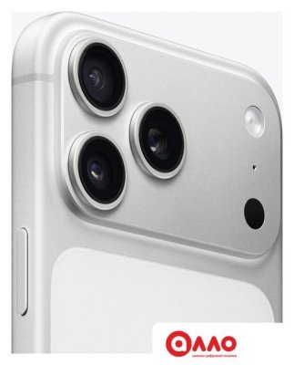 Телефон Apple iPhone 17 Pro Max 256GB (серебристый)
